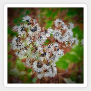 Flower Heart - Bold Sticker